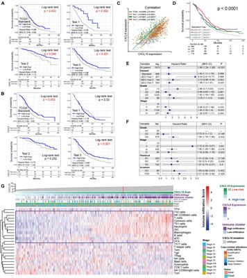 Identification of CXCL10-Relevant Tumor Microenvironment Characterization and Clinical Outcome in Ovarian Cancer